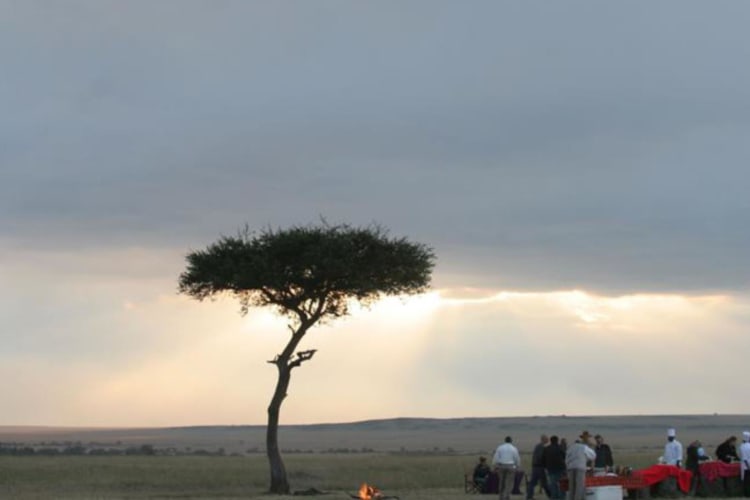 Dining in the bush